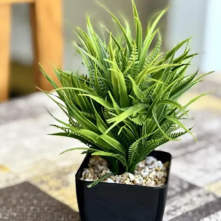 Heart Of Americas Charming Tenerife Lägenhet *