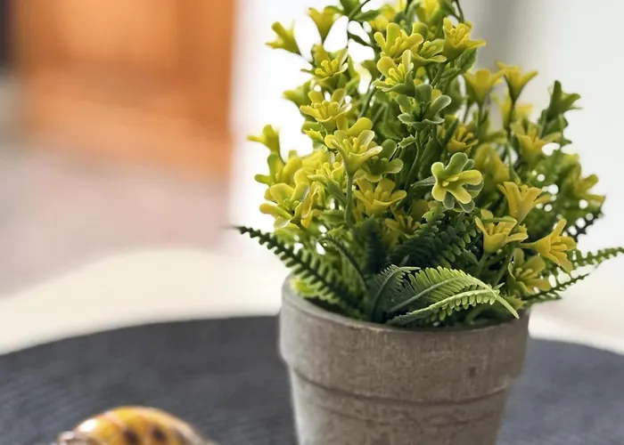 Heart Of Americas Charming Tenerife Appartement Costa Adeje (Tenerife)