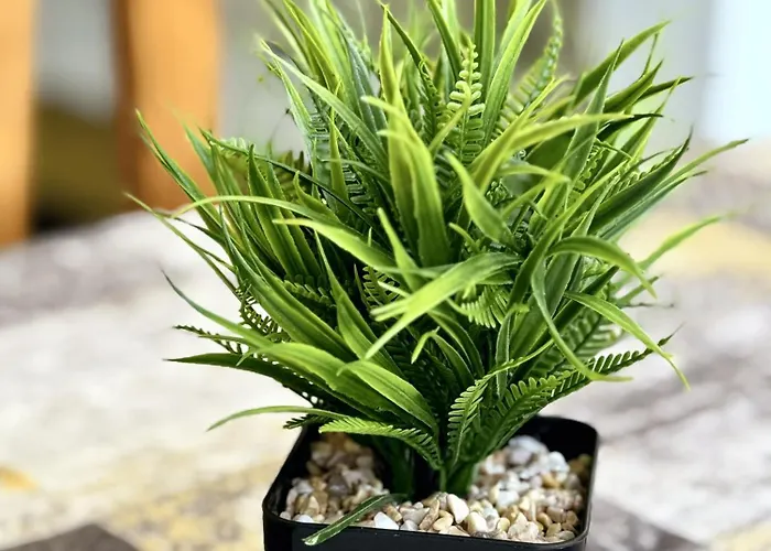 Heart Of Americas Charming Tenerife Appartement *