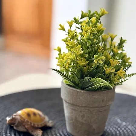 Heart Of Americas Charming Tenerife Appartamento Costa Adeje (Tenerife)